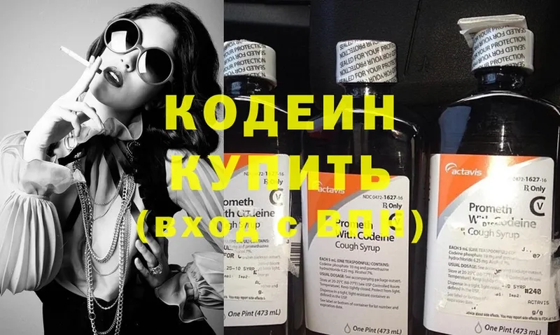 купить закладку  kraken как войти  Кодеин Purple Drank  Анадырь 